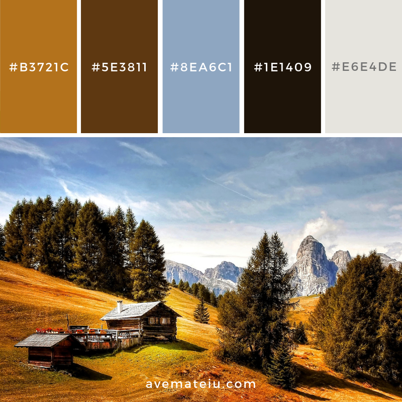 Cabin Near Tall Trees Under Clear Sky Color Palette #96 - color palette, color palettes, colour palettes, color scheme, color inspiration, color combination, art tutorial, collage, digital art, canvas painting, wall art, home painting, photography, weddings by color, inspiration, vintage, wallpaper, background, rustic, seasonal, season, natural, nature