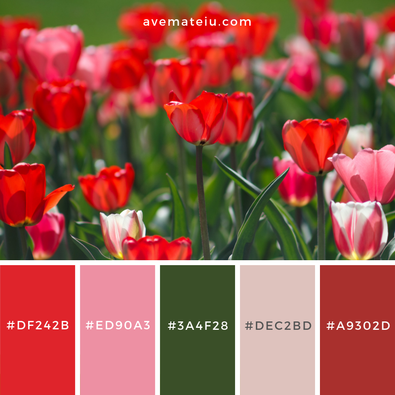 Red Tulips on the grounds Color Palette #186 Color combination, Color pallets, Color palettes, Color scheme, Color inspiration, Colour Palettes, Art, Inspiration, Vintage, Bright, Blue, Warm, Dark, Design, Yellow, Green, Grey, Red, Purple, Rustic, Fall, Autumn, Winter, Spring 2019, Nature, Spring, Summer, Flowers, Sunset, Sunrise, Pantone https://avemateiu.com/color-palettes