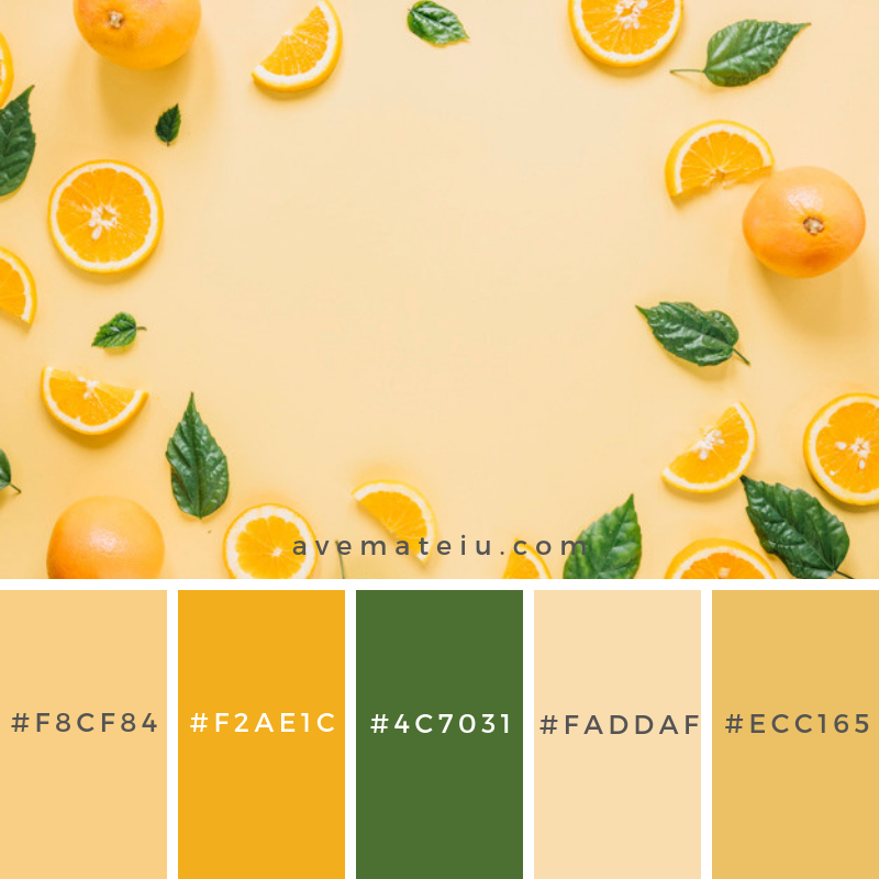 https://avemateiu.com/color-palettes/color-palette-221/ Border from oranges and leaves. Color Palette #222 - Color combination, Color pallets, Color palettes, Color scheme, Color inspiration, Colour Palettes, Art, Inspiration, Vintage, Bright, Blue, Warm, Dark, Design, Yellow, Green, Grey, Red, Purple, Rustic, Fall, Autumn, Winter, Spring 2019, Nature, Spring, Summer, Flowers, Sunset, Sunrise, Pantone https://avemateiu.com/color-palettes/ Flat lay composition with delicious summer cocktail on color. Color Palette #223 - Color combination, Color pallets, Color palettes, Color scheme, Color inspiration, Colour Palettes, Art, Inspiration, Vintage, Bright, Blue, Warm, Dark, Design, Yellow, Green, Grey, Red, Purple, Rustic, Fall, Autumn, Winter, Spring 2019, Nature, Spring, Summer, Flowers, Sunset, Sunrise, Pantone https://avemateiu.com/color-palettes/