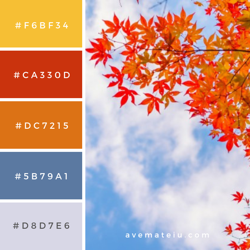Beautiful colorful autumn leaves Color Palette #319 - Color combination, Color pallets, Color palettes, Color scheme, Color inspiration, Colour Palettes, Art, Inspiration, Vintage, Bright, Blue, Warm, Dark, Design, Yellow, Green, Grey, Red, Purple, Rustic, Fall, Autumn, Winter, Summer 2019, Nature, Spring, Summer, Flowers, Sunset, Sunrise, Pantone https://avemateiu.com/color-palettes/