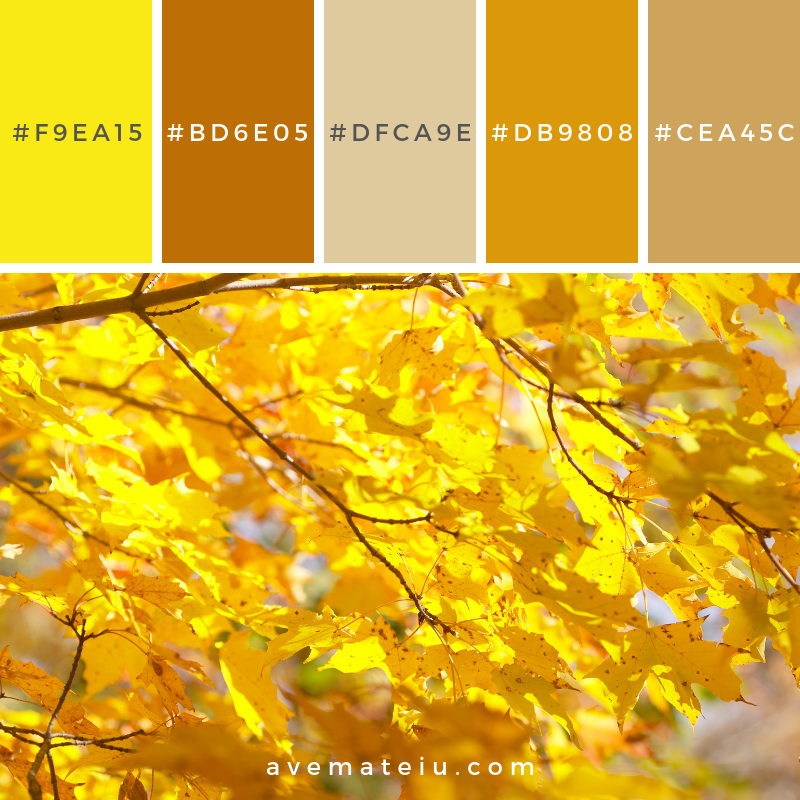 Autumnal leaves Color Palette #324 - Color combination, Color pallets, Color palettes, Color scheme, Color inspiration, Colour Palettes, Art, Inspiration, Vintage, Bright, Blue, Warm, Dark, Design, Yellow, Green, Grey, Red, Purple, Rustic, Fall, Autumn, Winter, Summer 2019, Nature, Spring, Summer, Flowers, Sunset, Sunrise, Pantone https://avemateiu.com/color-palettes/