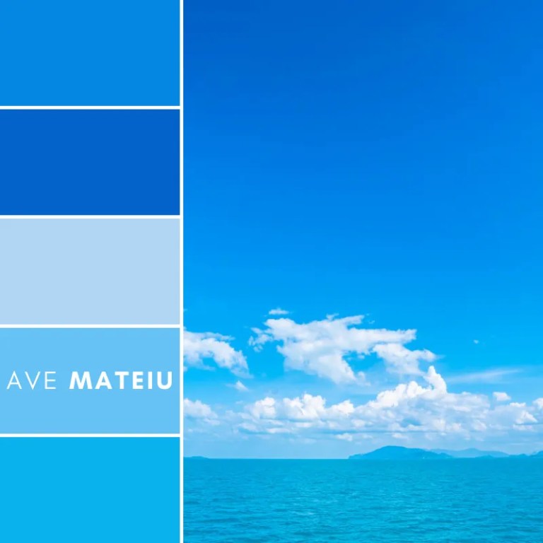 Beautiful Sea and Ocean on White Cloud and Blue Sky Color Palette 259 by Ave Mateiu featuring a coastal ocean scene with white clouds, blue sky, and five coordinating color swatches