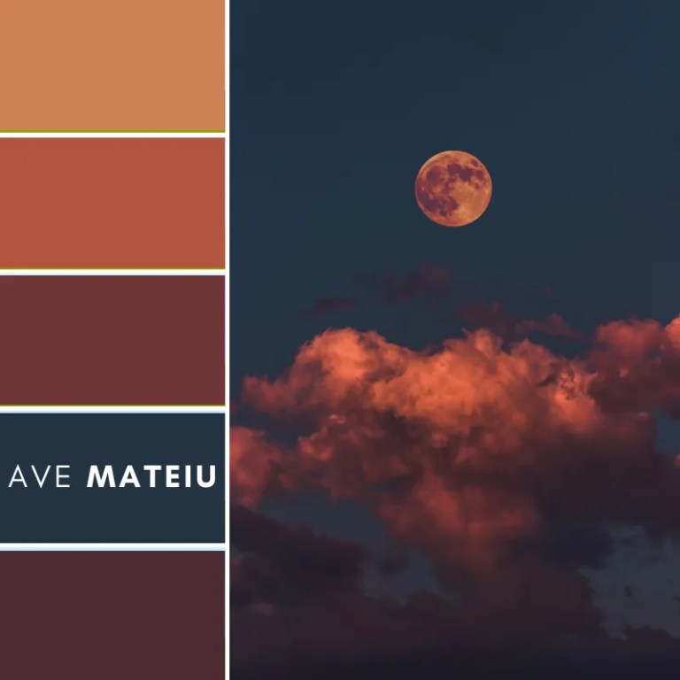 Bloody Moon Color Palette 55 by Ave Mateiu featuring a dramatic blood moon scene with five rich and atmospheric color swatches