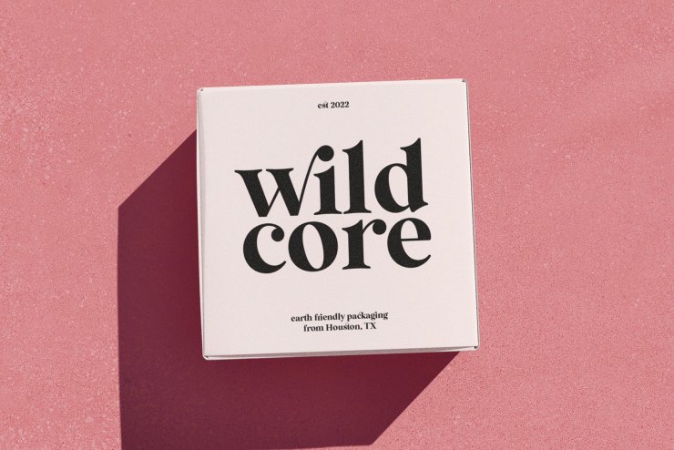 Wild Mango - A Modern Serif Font