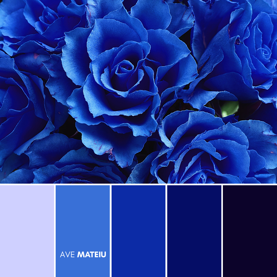 Blue color palette 1 - 14 Valentine’s Day Color Palettes 2023