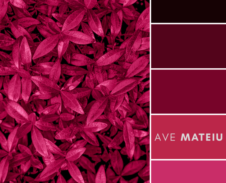 Pantone's Color of the Year 2023 Viva Magenta Color Palette 409