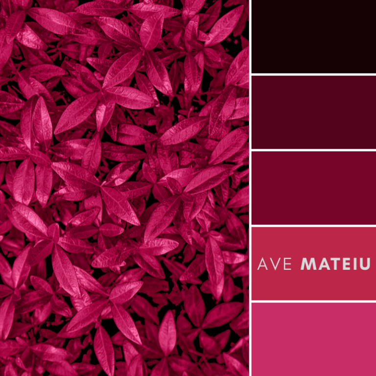 Pantone's Color of the Year 2023 Viva Magenta Color Palette 409