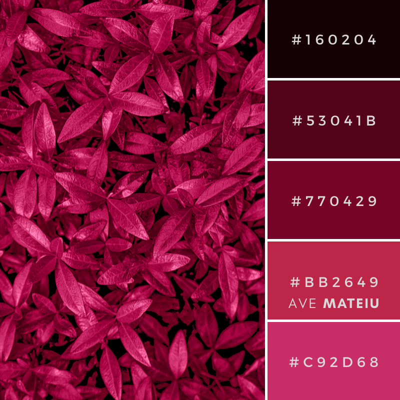 Pantone's Color of the Year 2023 Viva Magenta Color Palette 409 with hex codes Pantone's Color of the Year 2023 Viva Magenta Color Palette 409