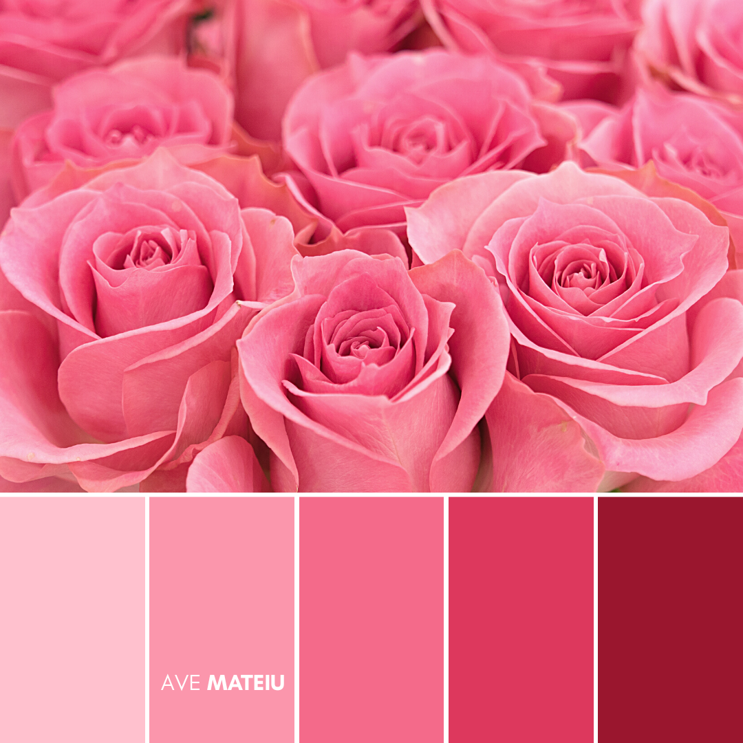 Pink color palette 2 - 14 Valentine’s Day Color Palettes 2023