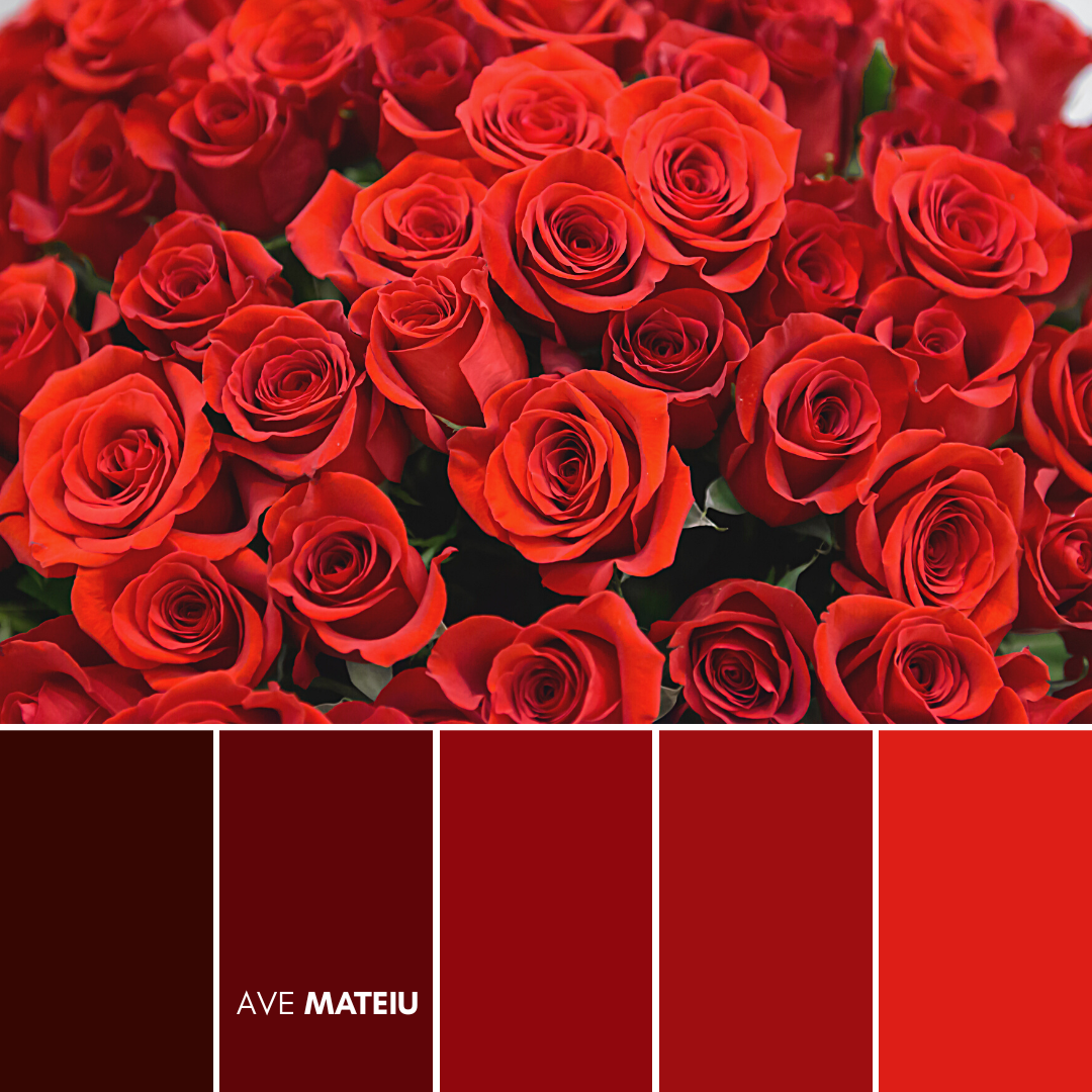 Red color palette 2 - 14 Valentine’s Day Color Palettes 2023