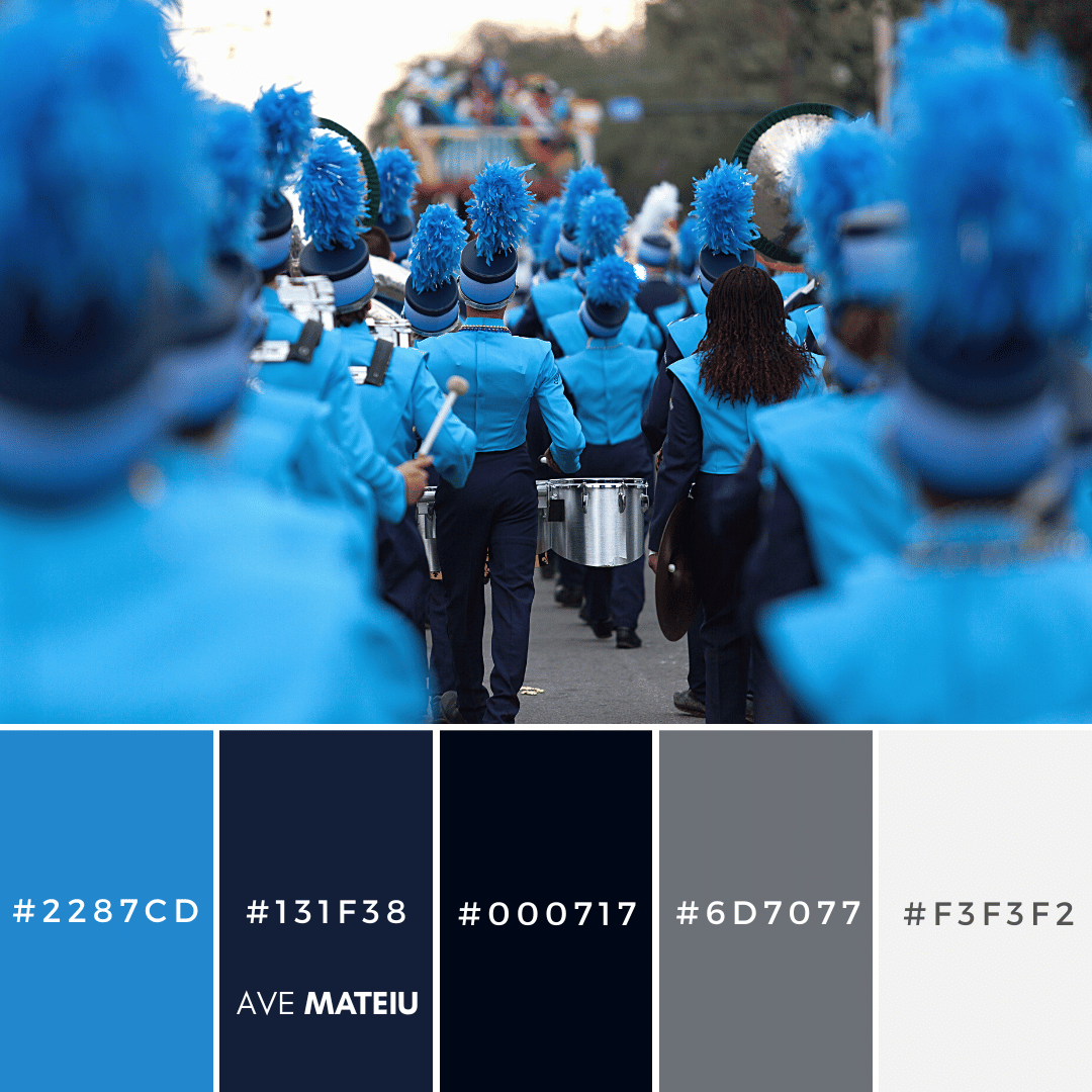 Color Palette 4 with hex codes - 10 Mardi Gras Color Palettes