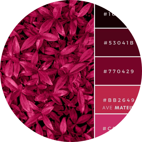 Color Palettes logo