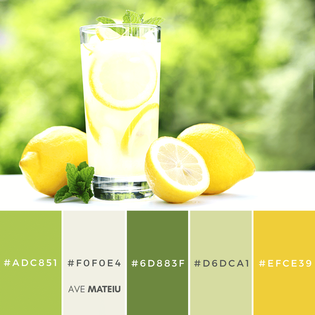 Summer Color Palette 16 with hex codes – 21 Summer Color Palettes and Hex Codes 2023
