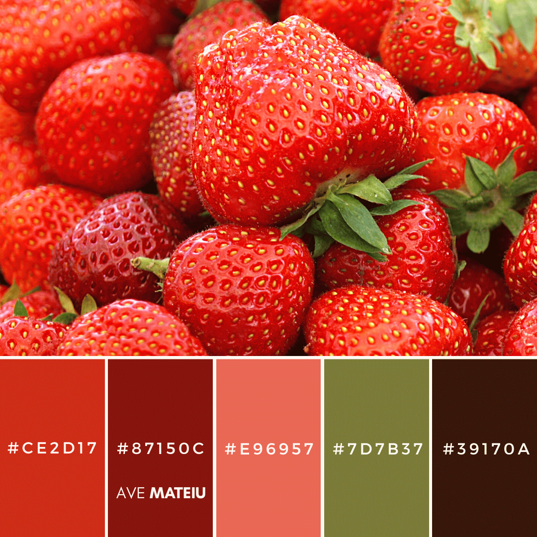 Summer Color Palette 18 with hex codes – 21 Summer Color Palettes and Hex Codes 2023