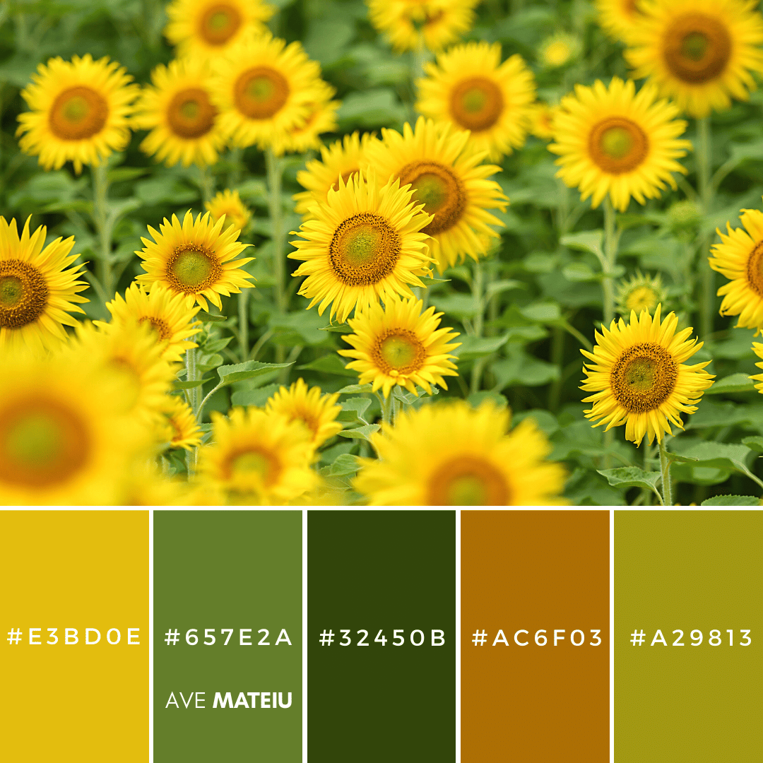 Summer Color Palette 19 with hex codes – 21 Summer Color Palettes and Hex Codes 2023