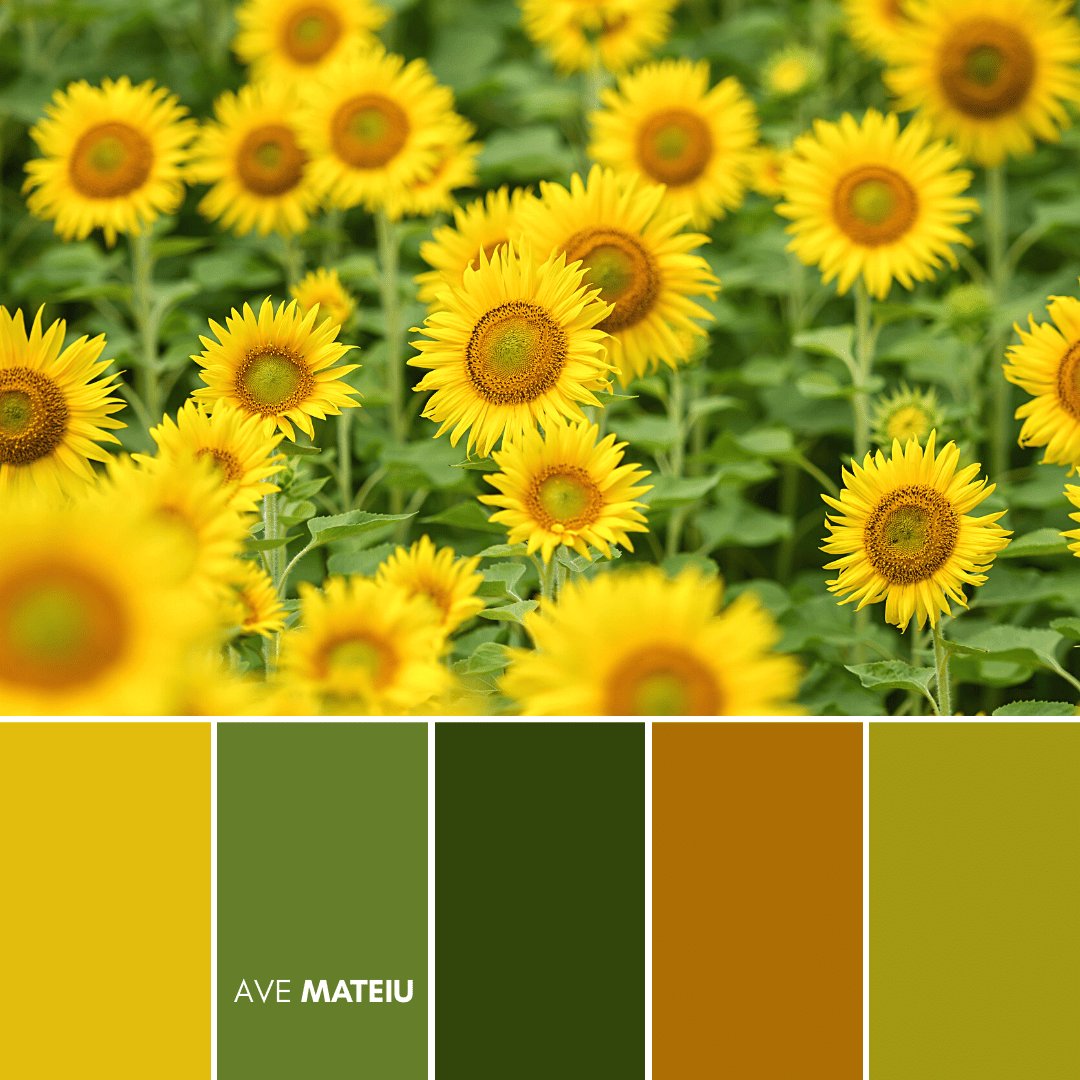 Summer Color Palette 19 – 21 Summer Color Palettes and Hex Codes 2023