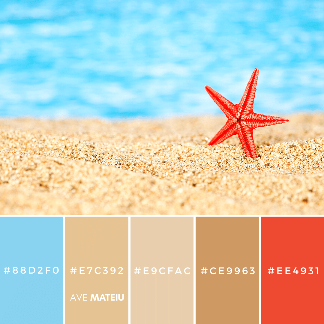 Summer Color Palette 2 with hex codes – 21 Summer Color Palettes and Hex Codes 2023