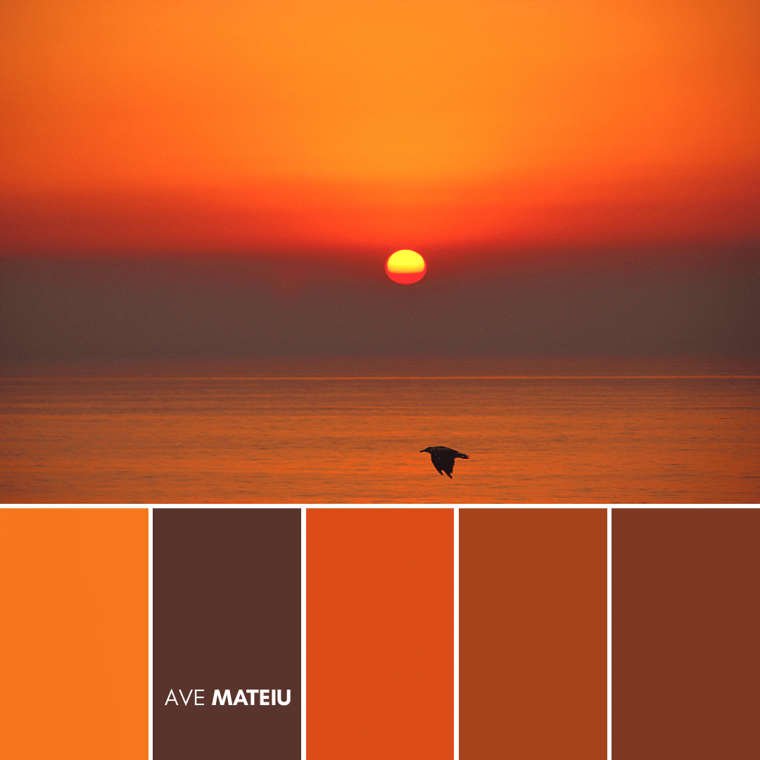 Summer Color Palette 5 – 21 Summer Color Palettes and Hex Codes 2023