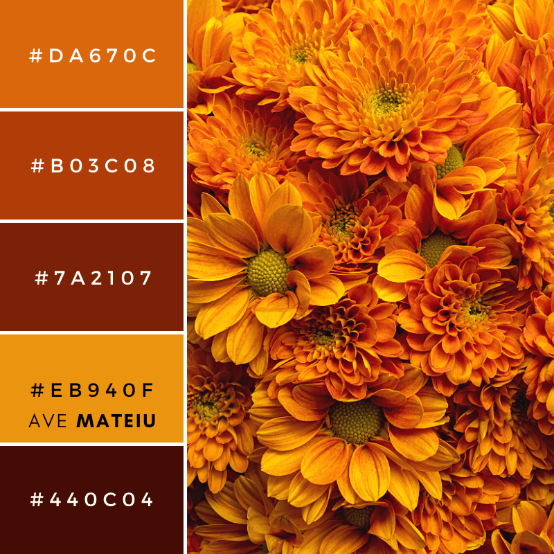 Autumn Flowers Color Palette 411 with hex codes