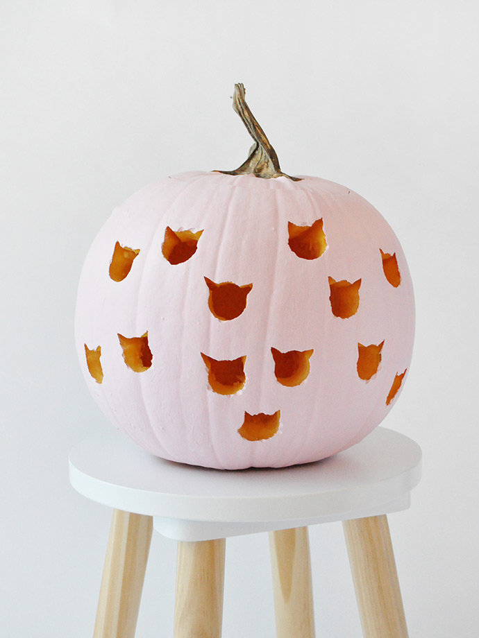 DIY Cat Drilled Pumpkin