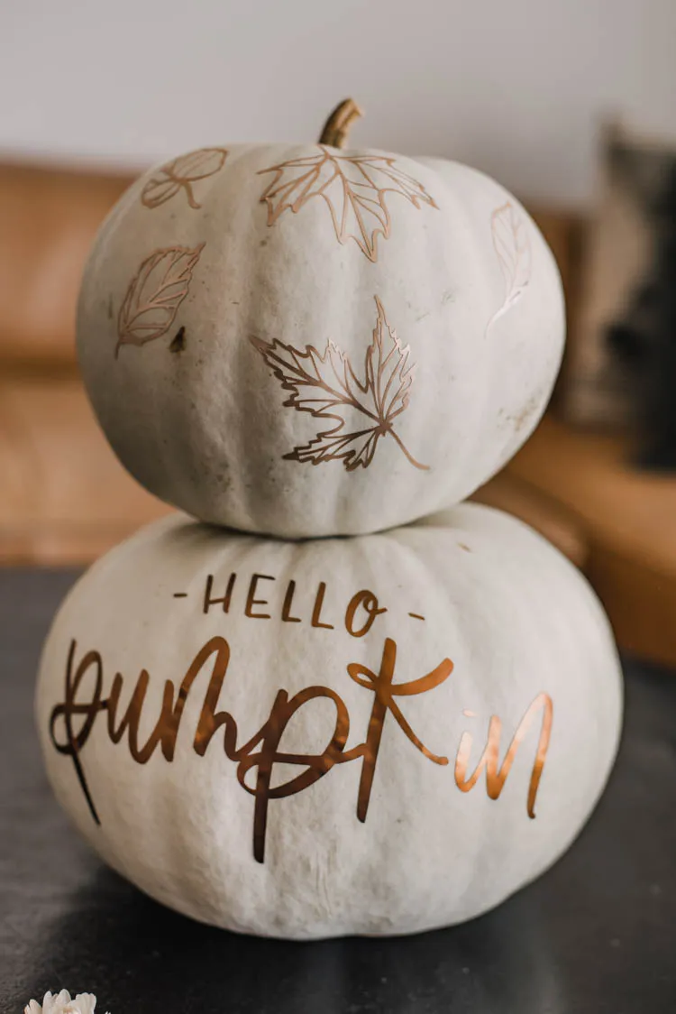 Matte Metallic Pumpkins Matte Metallic Pumpkins with rose gold inscription "Hello Pumpkin" and autumn leaves