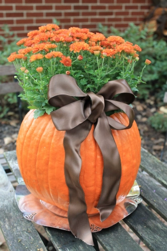 Pumpkin planter aka Mumkin Pumpkin planter aka Mumkin with chrysanthemum flower in it