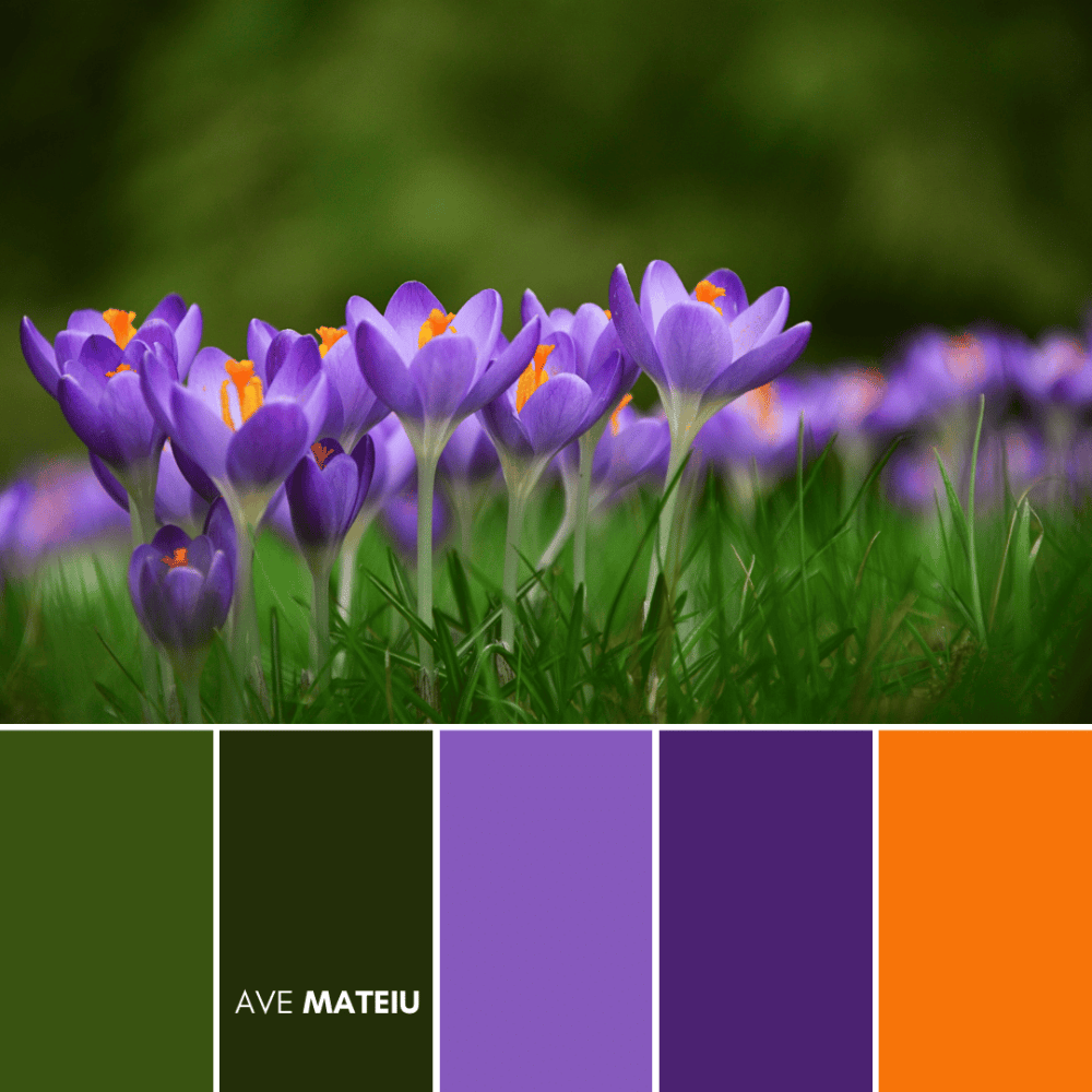 12 Beautiful Spring Color Palettes + FREE Colors Guide - Ave Mateiu
