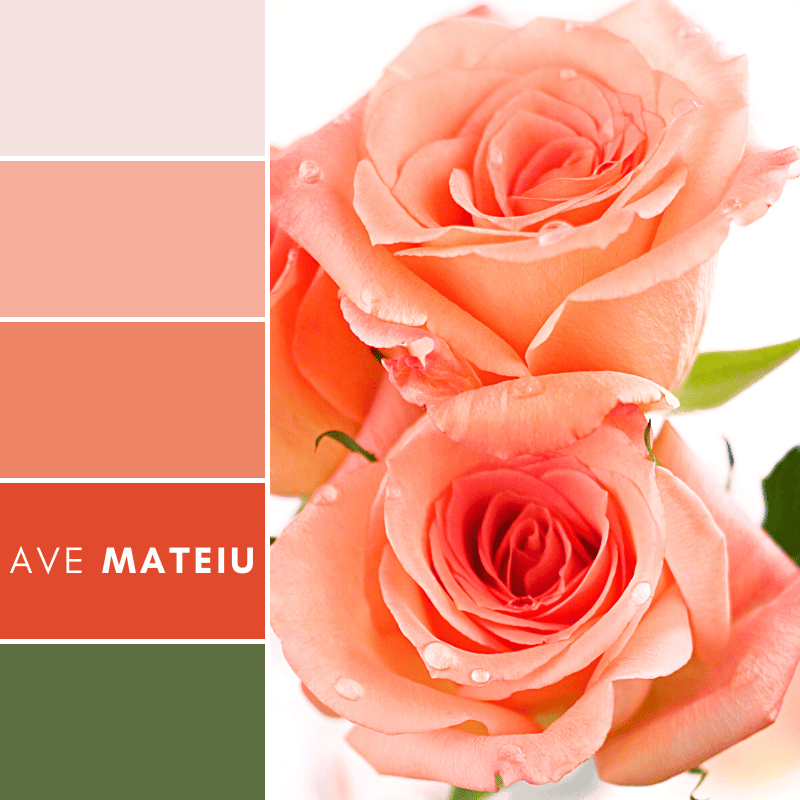 Image featuring featuring the color palettes that has the next colors: #F5E3E2, #F5AE9B, #EE8466, #E24A2E and #5D6F42.