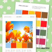 Image featuring example of color palettes and paint swatches.